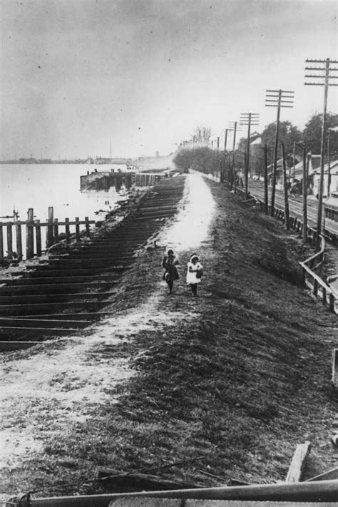 Levees 1927 Louisianna Getty Images | Louisiana history, Louisiana, Levee