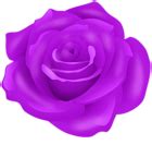 Rose Flower PNG Transparent Clipart | Gallery Yopriceville - High ...