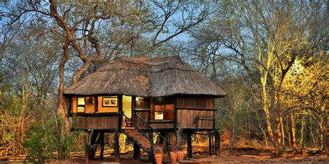 Ivory Lodge | Luxury Lodges in Zimbabwe | Yellow Zebra Safaris