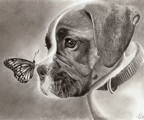 10 Lovely Dog Drawings for Inspiration 2023