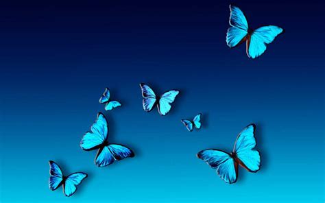 Desktop Blue Butterfly Wallpaper - iXpap