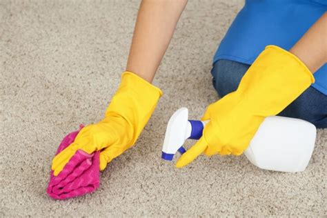 Eco-friendly Carpet Cleaning: 4 Tips To Keep Your Home Clean and Green - Topics Mag