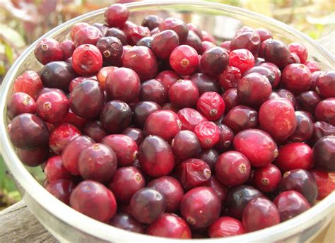 Uses for Fresh Cranberries - Eat Like No One Else