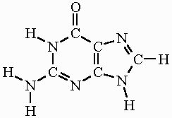 Guanine Formula & Structure