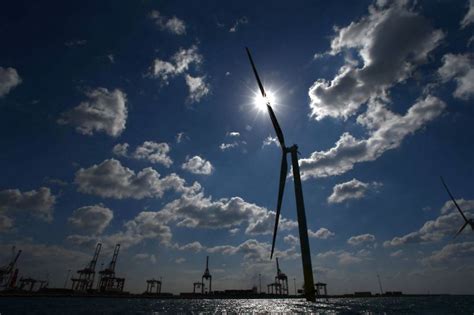 EU auditors issue warning over environmental impacts of offshore wind