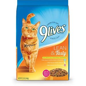 Best Dry Cat Foods - Reviews & Buying Guide - Catnipsum