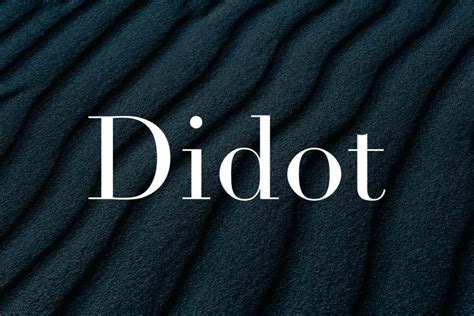 Why Choose The Didot Font For Your Fashion Or Branding Projects | HipFonts