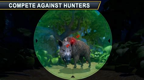 Safari Wild Hunting Animal - Sniper Shoot Game: Tips, Tricks, Cheats