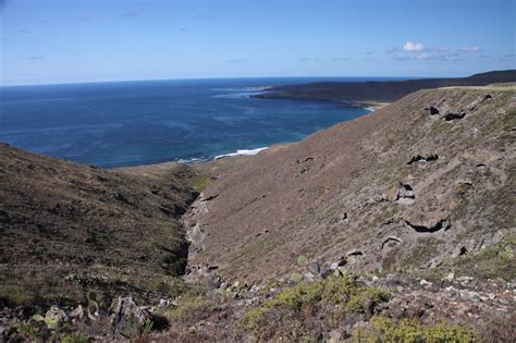 San Clemente Island — Channel Islands Restoration