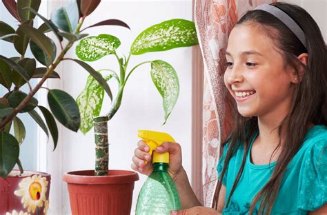 Cómo cuidar nuestras plantas: enseña a tus hijos en casa