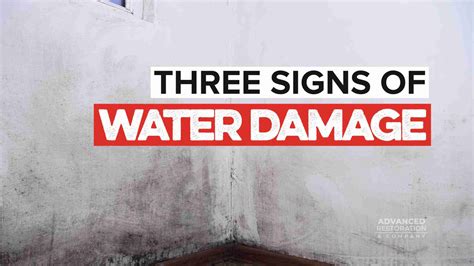 Three Signs of Water Damage That Signal Big Trouble - Check now