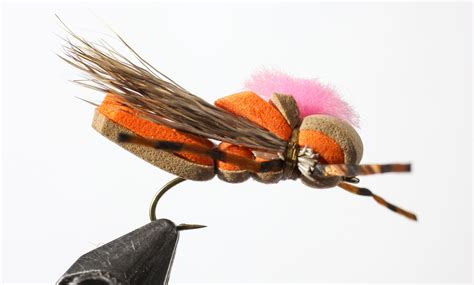 foam grasshopper Fly Tying Gear, Fly Tying Patterns, Hoppers ...