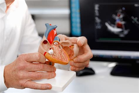 Prosthetic Heart Valve Dynamics: Drivers and Challenges | by Rogercosta ...