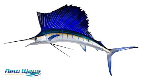 Sailfish Mounts - Replica Mounts by New Wave Taxidermy