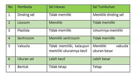 Perbedaan Sel Hewan dan Sel Tumbuhan dan Pembahasannya