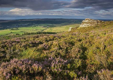 Northumberland national park Northumberland National Park, Places To Go, National Parks ...