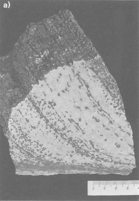 Reaction-enhanced formation of eclogite-facies shear zones in granulite ...