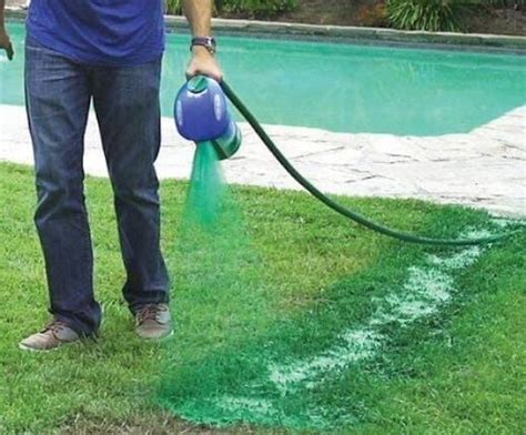 DIY Hydroseeding | Complete Guide - Sumo Gardener