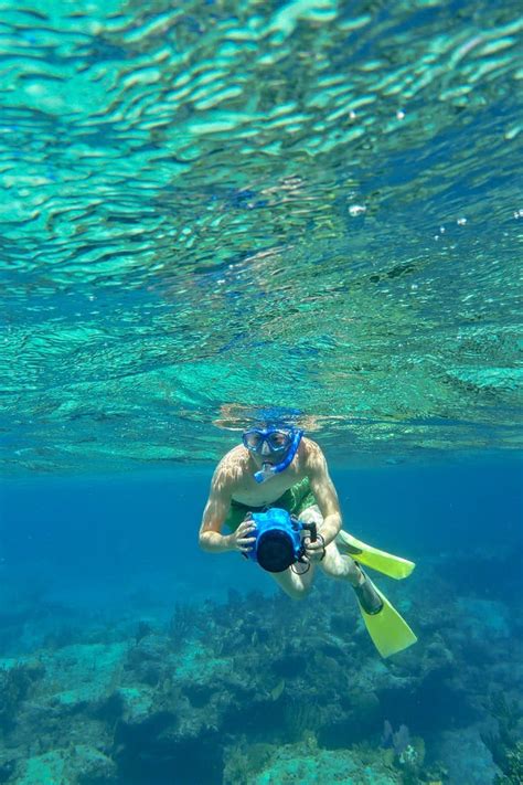 Turks and Caicos Snorkeling Safari - Local Adventurer