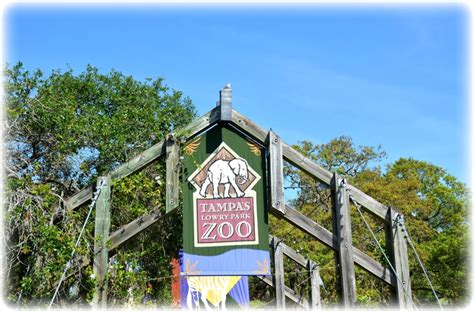 Lowry Park Zoo - Tampa, Florida