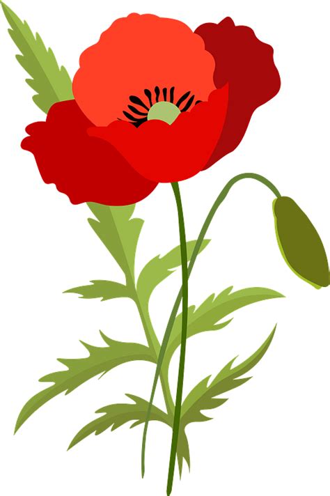 Poppy Flower Clip Art Clipart Best | Porn Sex Picture
