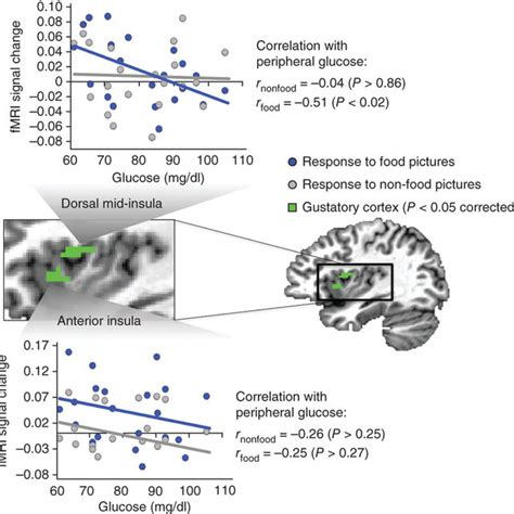 Insula gustatory cortex responses to food and non-food pictures as a... | Download Scientific ...