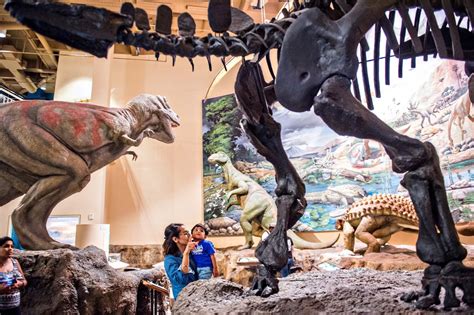 Why Fernbank Museum Is the Best Museum in Atlanta for Kids