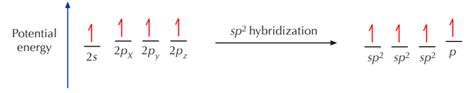 5.4: Hybridization of Carbon - Chemistry LibreTexts