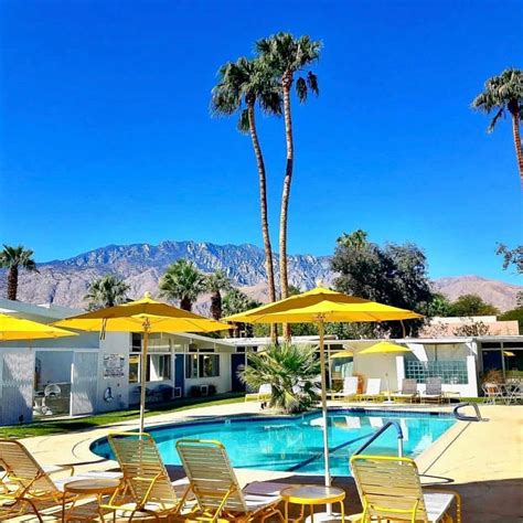 The sunniest spot in Palm Springs is The Monkey Tree Hotel. Mid Century Modern Palm Springs, San ...