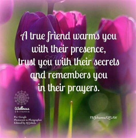 ༺ღ True Friends, Friendship Quotes, Trust Yourself, Bible Quotes, The Secret, Words Of Wisdom ...