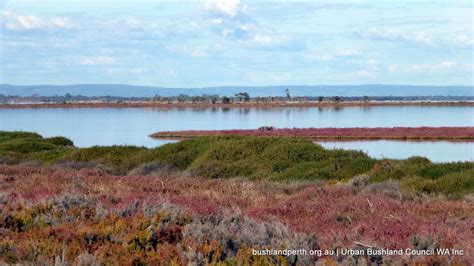 Wetlands Conservation Society (Inc) - Urban Bushland Council WA