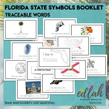 Florida State Symbols Booklet by Melissa Schaper | TpT