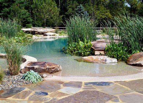 Natural Swimming Pools Work Best in Warm Climates | Backyard beach, Natural swimming ponds ...