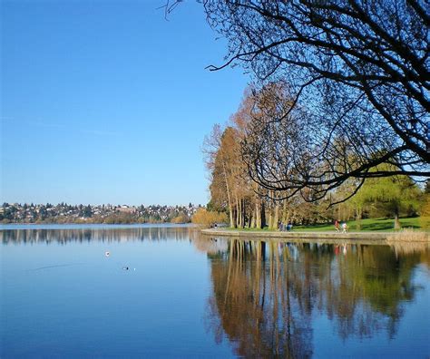 Urban Landscape, Native Landscape: Green Lake Park