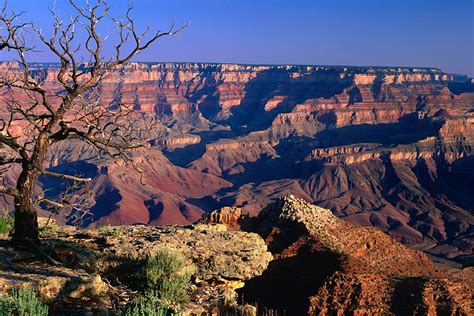 Grand Canyon National Park travel | Arizona, The USA, North America - Lonely Planet