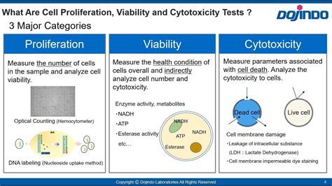 Seminar for Cell Proliferation Cell Viability Cytotoxicity Dojindo ...