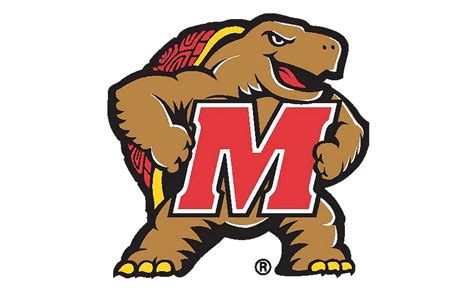 Maryland Terps Terrapin M Logo transparent PNG - StickPNG