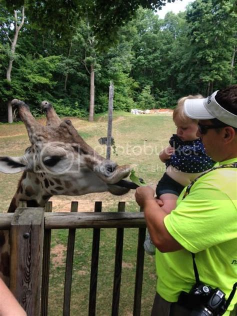 Wades of 108: Visit to the NC Zoo