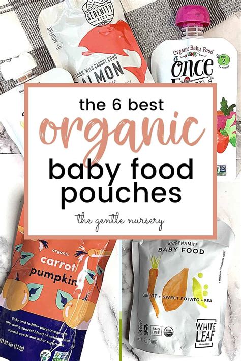 The 6 Best Organic Baby Food Pouches of 2024 - The Healthiest Pouches