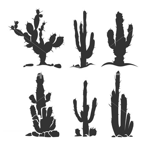 Cactus Silhouette Vector at Vectorified.com | Collection of Cactus Silhouette Vector free for ...