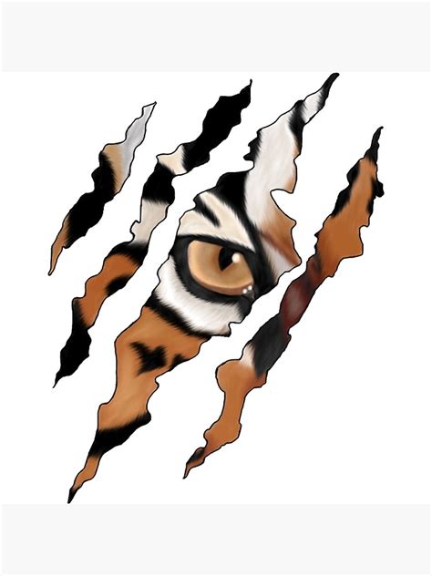 "Tiger Claw Marks" Poster for Sale by sathwikgs | Redbubble