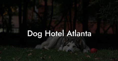 Dog Hotel Atlanta - Dog Hotels