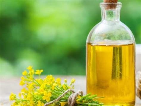 Rapeseed Oil For Cooking: Facts You Should Know About Rapeseed Oil - Misskyra.com