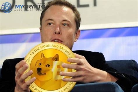 I Will Keep Supporting Dogecoin, Says Elon Musk Amid $258 Billion ...