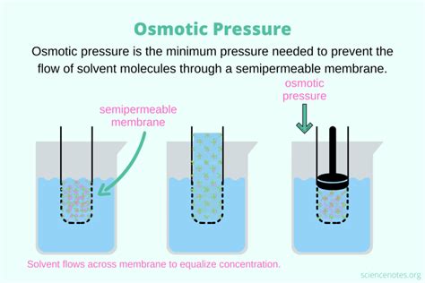 Osmotic Pressure - Definition, Formula, Examples