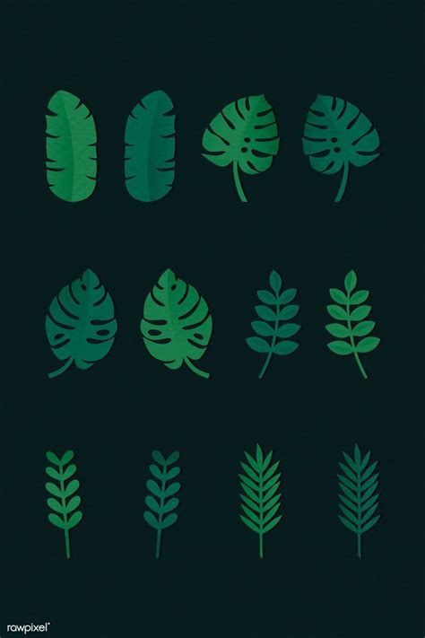 Beautiful Tropical Leaf Vector Collection