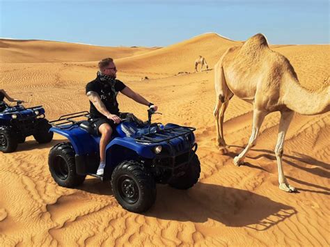 Desert Safari Dubai Experience: Dune Bashing, Camel Rides & More