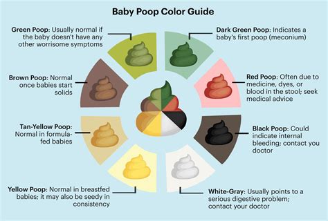 Month Old Dark Green Hard Poop | informacionpublica.svet.gob.gt