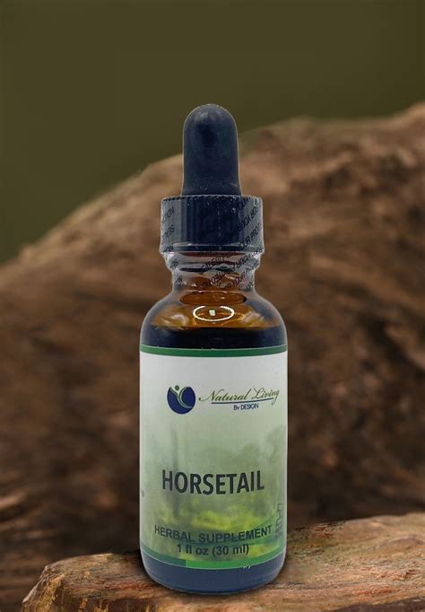 🌿 Horsetail Hair Restoration: Nature's Secret for Stronger Hair and ...