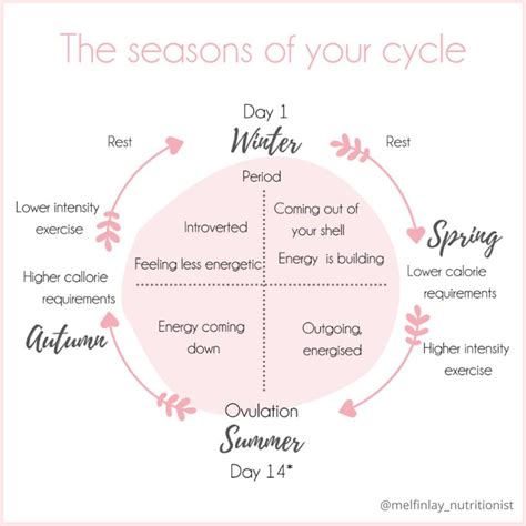 The seasons of our cycle: How to go with the flow throughout the month ...